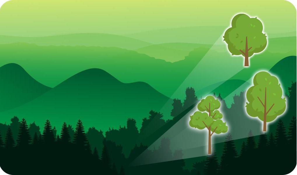 재무재표는 '숲'만 보여주기에, 상세한 의사결정을 위한 내부용 회계가 별도로 필요하다